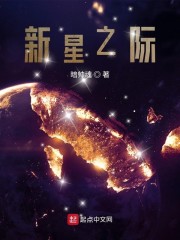 新星之际