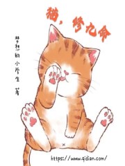 猫修九命